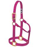 WEAVER Leather Non-adjustable halter raspberry Average Horse - Buy Online on GoSupps.com