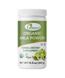Organic Amla Powder 15.5 oz - USDA Certified, High ORAC Value - 1 Pack - Buy Online on GoSupps.com