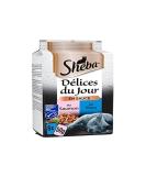 Sheba Delices du Jour Wet Food for Adult Cats - Salmon & Tuna MSC in Sauce - 72 x 50g & 300g (12 Pack) - Premium International Shipping - Buy Online on GoSupps.com
