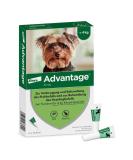 Elanco Advantage Spot-on 40 for Very Small Dogs - Quick Flea Control & Protection Up to 4 Weeks | 4 Pipets (0.4 ml) - Buy Online on GoSupps.com