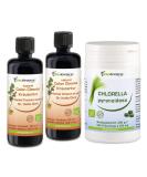 Biotraxx Black Walnut Clove Wormwood plus Chlorella XL Full Course Dr. Hulda Clark. Made in Germany - Buy Online on GoSupps.com