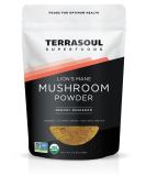 Terrasoul Superfoods Organic Lions Mane Mushroom Powder (4:1 Extract) 5.5 Ounces - Buy Online on GoSupps.com