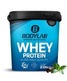 Bodylab24 Whey Protein Powder - Chocolate-Mint Flavor 2kg | Buy Premium Protein Online Worldwide - Buy Online on GoSupps.com