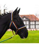 Premium Adjustable Horse Halter for Warmbloods Thoroughbreds & Cold Bloods Safe Tear-Resistant Colorful Design with Dual Compartments for Chin Straps & Neck Pieces - Buy Online on GoSupps.com