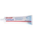 Gel-Kam Fluoride Preventive Treatment Gel Mint Flavor 4.30 oz (Pack of 4) - Dental Care Protection - Buy Online on GoSupps.com