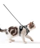 Breakproof Cat Leash Set with Adjustable Soft Vest & Reflective Stripes | Gray XS Cat Dishes for Small Kittens - Buy Online on GoSupps.com