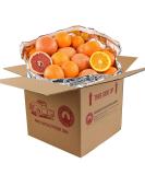 Gourmet Fruit Gift Pack from Capital City Fruit Farm - 20lbs Mixed Citrus Box with Oranges and Grapefruit (30 pieces) - Immunity Boosting Vitamin C - Buy Online on GoSupps.com