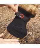 Cavallo Comfort Sleeve - Buy Online on GoSupps.com