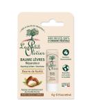 Le Petit Olivier Lip Balm with Shea Butter | Repair & Soothe Cracked Lips | 100% Vegetable Oils | 4g - Buy Online on GoSupps.com