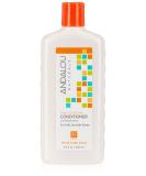 Andalou Naturals Conditioner Ounce  1 Pack  Moisture Rich Argan Oil and Shea  11.5 Fl Oz 11.5 Fl Oz (Pack of 1) - Buy Online on GoSupps.com