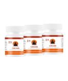 Vital Paws 3x75 Capsules Curcuma for Dogs & Cats - Premium Curcumin & Piperine Supplement Made in Germany High Purity & Quality - Buy Online on GoSupps.com