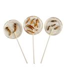 Crunchy Critters Edible Insects Three Lollipops - 90g - Buy Online on GoSupps.com