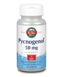 KAL 50 mg Pycnogenol Tablets - 60 Count | Powerful Antioxidant Supplement - Buy Online on GoSupps.com