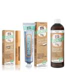 Dr. Ginger's Coconut Oil Teeth Whitening 3pc Bundle - All-Natural Toothpaste, Mouthwash & Whitening Pen for Pearly White Oral Care - Coconut Mint Flavor - Buy Online on GoSupps.com