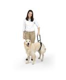 PetSafe CareLift Hip Lifting Harness for Dogs Lifting Aid with Handle and Shoulder Strap for Hip Support Size LL Hip Harness - Buy Online on GoSupps.com