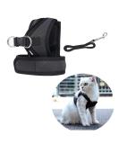 Janica Cat Dishes & Leash: Outbreak-Proof Unbreakable Cat Jewelry & Harness Sets Shop Internationally! - Buy Online on GoSupps.com