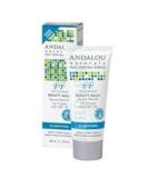 Andalou Naturals Balm Beauty Oil Control | Best Skincare for Oily Skin | International Shipping Available - Buy Online on GoSupps.com