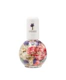 Blossom Lavender Cuticle Oil 0.42 fl oz â€“ Nourish & Revitalize Your Nails - Buy Online on GoSupps.com