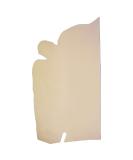 Sepici Full Grain Veg Tan Single Shoulder (Craftsman Grade) - 2.5-4 ft | High Quality Leather for Craftsmen - Buy Online on GoSupps.com