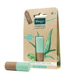 Buy Lip Care Water Mint & Aloe Vera - Hydrating & Nourishing Lip Balm for Dry Lips - International Shipping Available - Buy Online on GoSupps.com