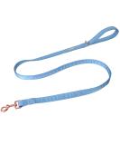 Lionet Paws Dog Leash - Silk Leash for Small Medium Large Dogs Matching Collars for Girls and Boys S Leash (Pack of 1) Blue - Buy Online on GoSupps.com
