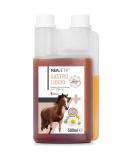Reavet Gastro Liquid for Horses 500ml | Natural Herbal Solution for Stomach & Intestinal Issues Fecal Water Relief - Buy Online on GoSupps.com