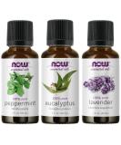 3-Pack Variety of NOW Essential Oils: Pure & Natural Blend - Lavender, Eucalyptus, Peppermint - Buy Online on GoSupps.com