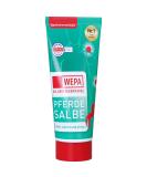 Wepa Horse Ointment 100 ml - Fast Relief for Horse Injuries & Soothing Care - International Shipping Available - Buy Online on GoSupps.com