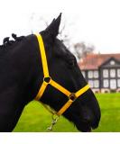Adjustable Yellow Halter for Warmblood Thoroughbred & Cold Blood Horses | Safe Tearproof 2 Compartment Design for Stable & Pasture Use - Buy Online on GoSupps.com