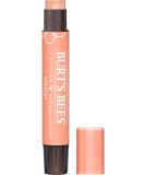 Burt's Bees Lip Balm  Moisturizing Lip Shimmer for Women  for All Day Hydration  with Vitamin E & Coconut Oil  100% Natural  Apricot  0.09 Ounce 1 Count (Pack of 1) Apricot - Buy Online on GoSupps.com