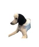 Large Black Pet Hoodz - Calming Dog Ear Protection & Fur Care | Ear Wraps for Anxious Dogs - Buy Online on GoSupps.com