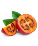 Tamarillo 2 Units x 5 pack - Buy Online on GoSupps.com