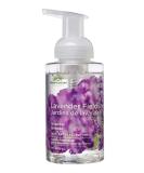 Buy Green Cricket Lavender Fields Foam Hand Wash 300 ML - Eco-Friendly Nourishing Cleanser for All Skin Types - International Shipping Available - Buy Online on GoSupps.com
