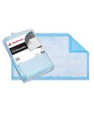 Dealmed Economy Absorbency Medical Underpads 100 Count | 2-Ply Tissue Fill for Pet Pads and Furniture Protection | 17 x 24 Blue Barrier | 1 Pack - Buy Online on GoSupps.com