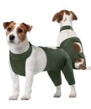 Kuoser Dog Recovery Suit for Male Dogs | Anti-Licking & E-Collar Alternative | Post-Op Body Suit for Dog Castration & Healing - Buy Online on GoSupps.com