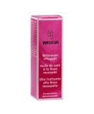 Weleda Wild Rose Harmonizing Care Oil - 10 ml | Natural Skin Care for Radiant Glow - Buy Online on GoSupps.com