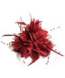 Flower Feather Bead Corsage Hair Clips Fascinator Hairband and Pin (Burgundy) - Buy Online on GoSupps.com