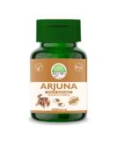 Aryan Herbals Arjuna (White Marudah) 60 Tablets of 500 MG - Buy Online on GoSupps.com