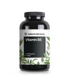 Vitamin B5 500mg Capsules - High Dose Pantothenic Acid - Vegan & Laboratory Tested - 240 Count - Made in Germany - Buy Online on GoSupps.com