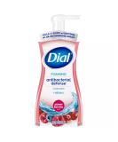 Dial Antibacterial Foaming Hand Wash - Power Berries 7.5 Oz Pump Bottle | Bulk 8/Carton - Shop Now - Buy Online on GoSupps.com