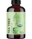 100% Organic Tea Tree Essential Oil - Hair, Skin & Nails Treatment | Pure Cleansing Oil & Dry Scalp Remedy - Buy Online on GoSupps.com