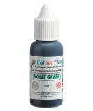 15ml Colour Flex Holly Green Oil Based Food Colouring Gel - Ideal for High Fat Foods, Buttercream, Chocolate Batters & Fondant Icing - Buy Online on GoSupps.com