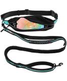 Philorn Super Elastic Freehand Dog Leash 120-170 cm with Belt Pocket - Jogging Leash for Large Dogs Up to 65 kg Reflective & Bungee Design - Perfect for Active Dog Owners - Buy Online on GoSupps.com