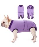 Convinite Recovery Suit for Dogs - Breathable Wound Protection after Castration | Alternative to Cone | Perfect for Male & Female Dogs - Purple - Buy Online on GoSupps.com