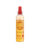 Argan Oil Leave In Conditioner by Creme of Nature  Detangling and Conditioning Formula for Normal Hair 8.45 Fl Oz - Buy Online on GoSupps.com