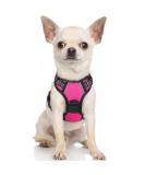 Rabbitgoo Dog Harness for Small Dogs - No Pull Adjustable & Breathable Pink XS - Safe Control & Comfort - Buy Online on GoSupps.com