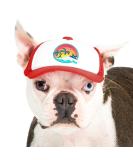 PupLid XS Trucker Hat for Dogs - Stylish Sun Protection for Active Dogs - Red Surfer Dog - Buy Online on GoSupps.com