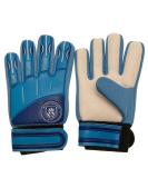 Buy Man City Delta Goalkeeper Gloves for Juniors - Size 5 Blue | International Shipping Available - Buy Online on GoSupps.com