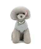 Buy Cute Striped Pet Pullover Sweater for Small Dogs & Cats - Cozy Knit Sweater in Pink Red Blue Gray | Ideal for Pets 1.2-9.0 kg - Buy Online on GoSupps.com