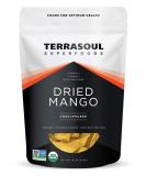 Terrasoul Superfoods Organic Dried Mango Slices 16 Oz - Naturally Sweet & Tart  No-Added Sugar  Healthy Prebiotic - Buy Online on GoSupps.com